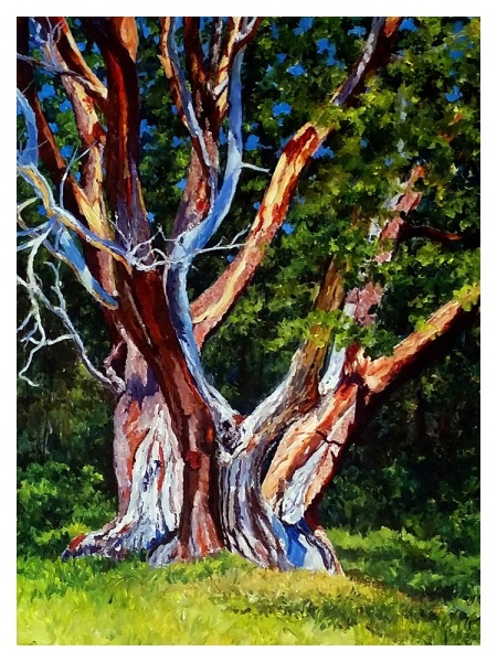 aging gracefully 40x30  $2550