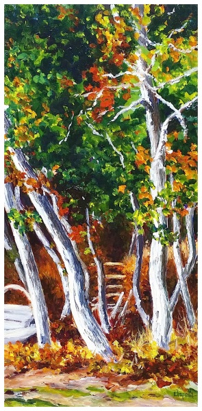 rhymthic 24x12  $750