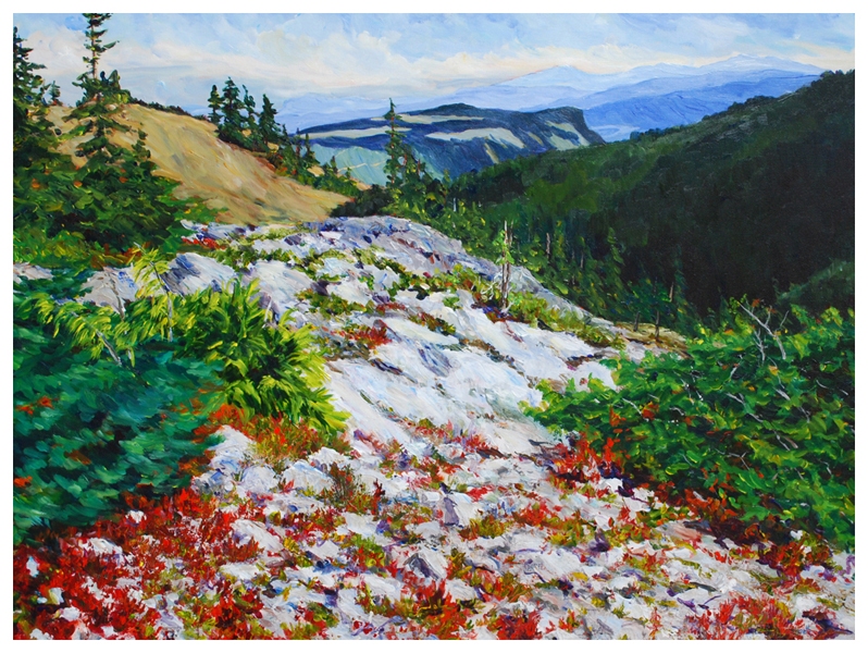 lost edges 30x40  Sold