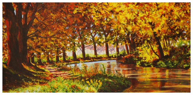 bliss 24x48  $2500