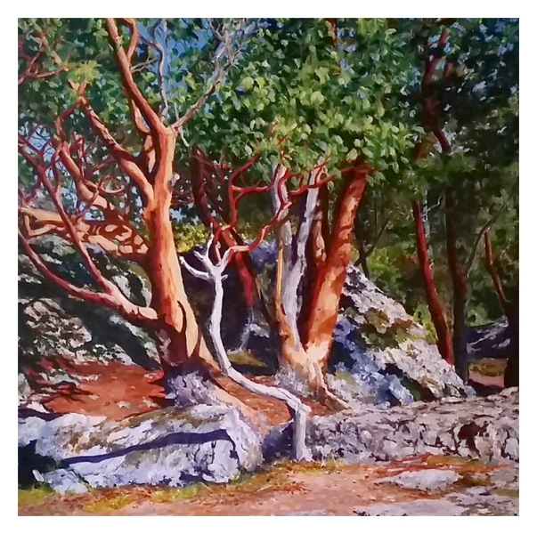 symphony of light 48x48  $4200