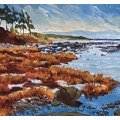 sandpiper beach-8x10-blackframe-$300